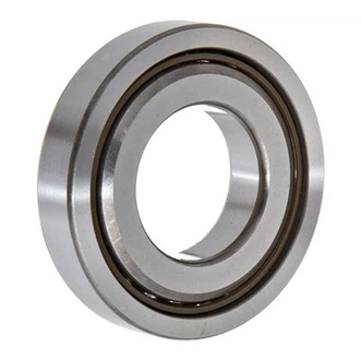 55TAC100BSUC10PN7B Gultnis